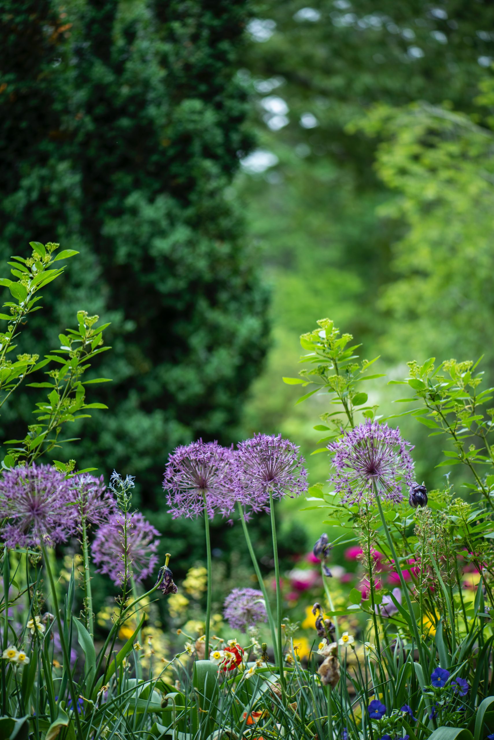 How to spruce your garden this summer