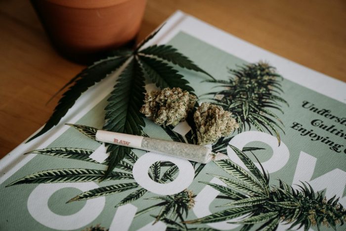 Best Ways to Consume Cannabis A Beginner's Guide